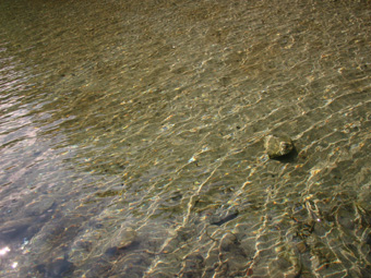 at the side of a river_a0020009_38325.jpg