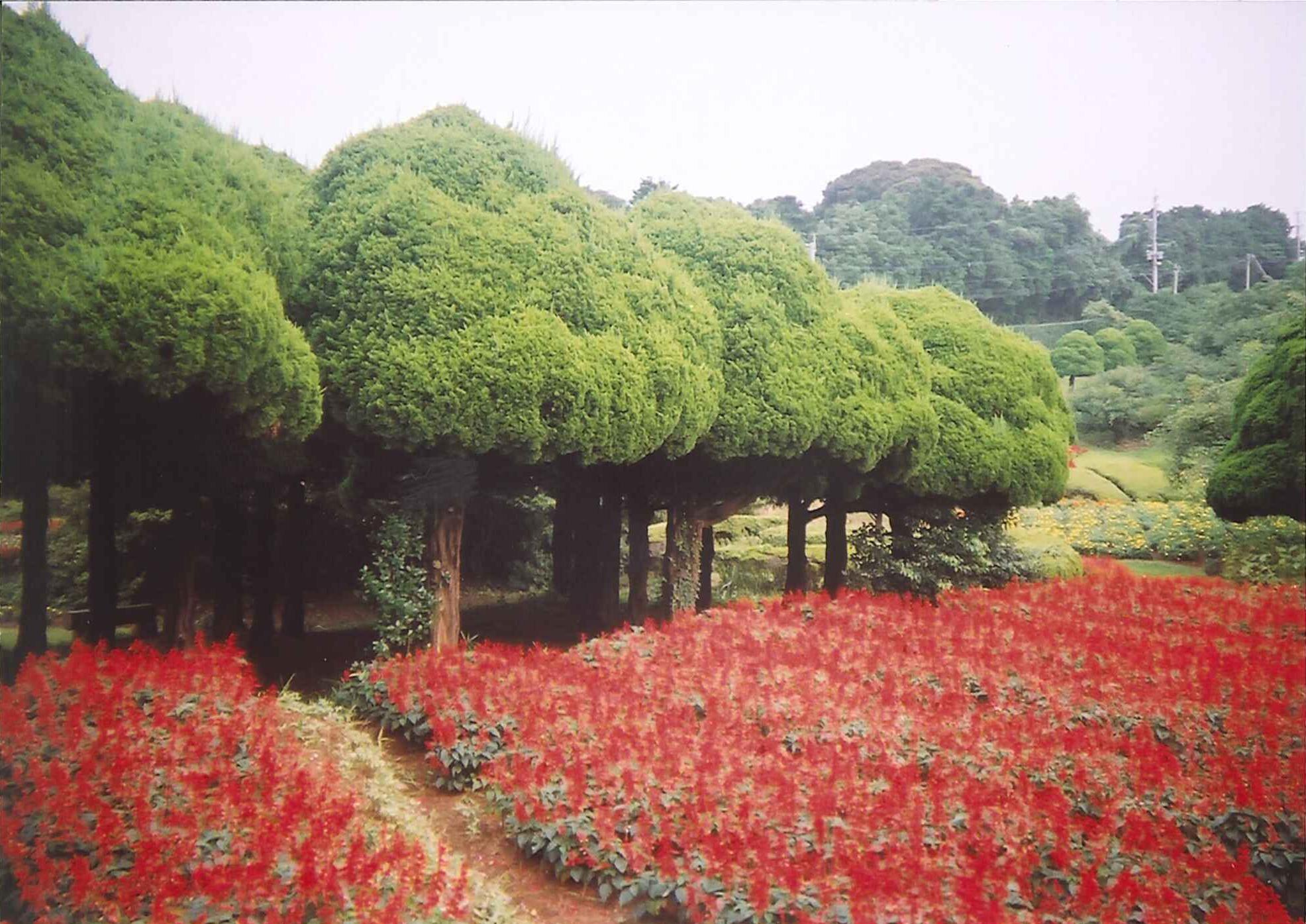 中学生夏休み写真コンクール　自然・風景部門　[皆さんの投票をお待ちしています！]_d0116009_312455.jpg