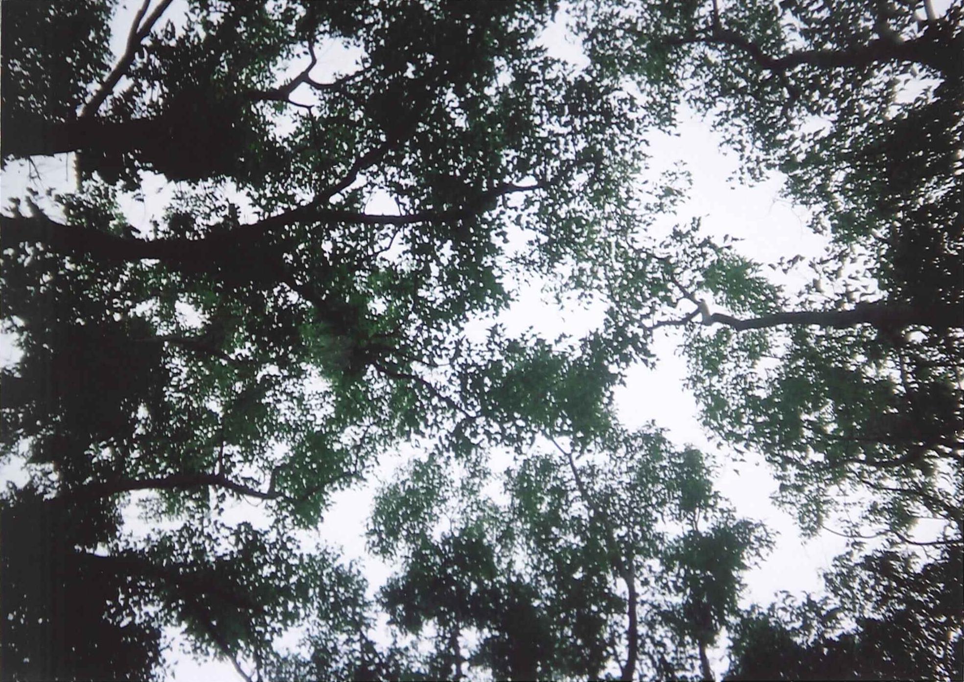 中学生夏休み写真コンクール　自然・風景部門　[皆さんの投票をお待ちしています！]_d0116009_312866.jpg