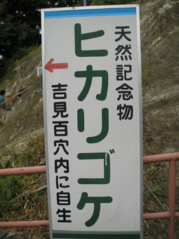 e0093509_0442763.jpg