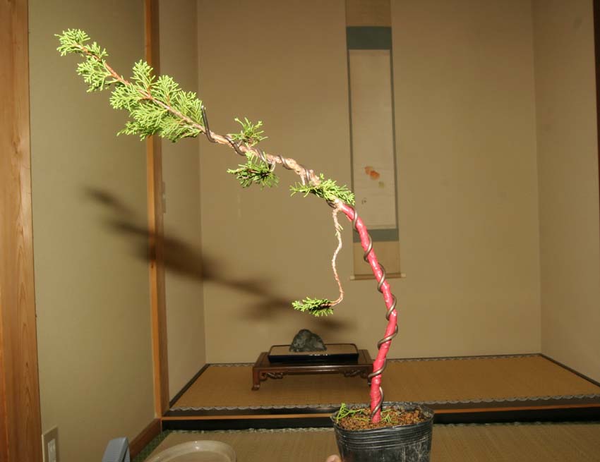 a0097110_239357.jpg