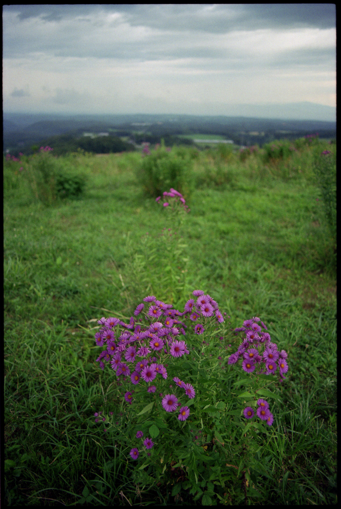 Nasu Highland #2_e0022810_2322333.jpg