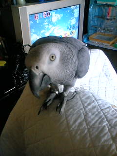 c0133013_10164877.jpg