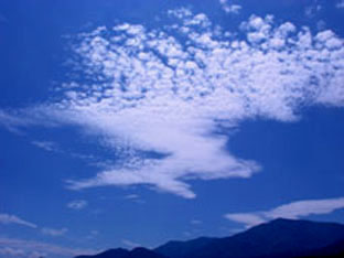 c0047814_1614122.jpg