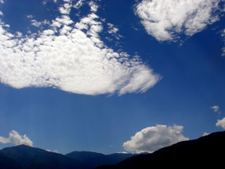 c0047814_1621764.jpg