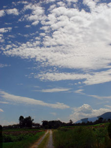 c0047814_1623017.jpg