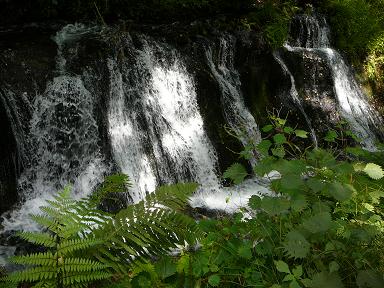 b0102023_16244740.jpg