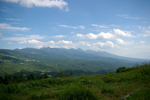 八子が峰の花と八ヶ岳の展望_d0102327_218057.jpg