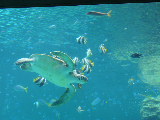 d0021146_0258.jpg