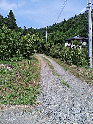 a0096557_12552652.jpg