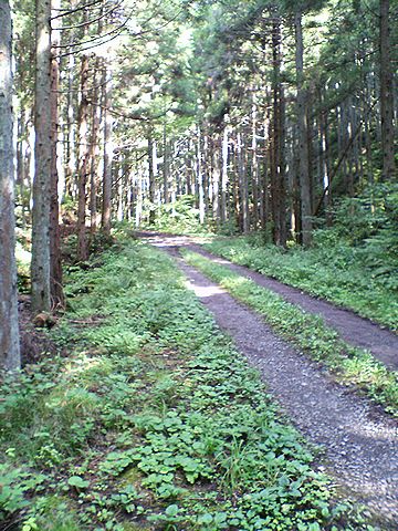 a0096557_12572942.jpg