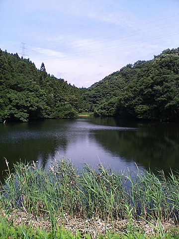 a0096557_1311285.jpg