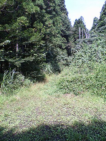 a0096557_1334824.jpg