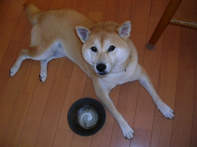 8月21日(火)・・・花よりチキンジャーキー!_f0060461_1419052.jpg