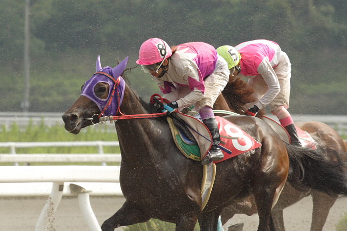 2007年8月5日(日) 高知競馬 9R ソイジョイ特別_a0077663_21282732.jpg