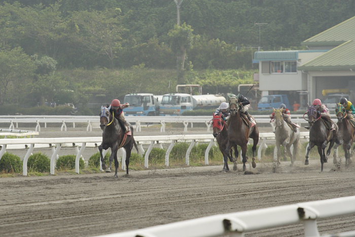 2007年8月5日（日） 高知競馬 9R ソイジョイ特別_a0077663_2128454.jpg