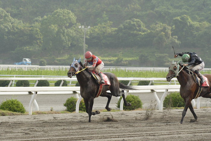 2007年8月5日（日） 高知競馬 9R ソイジョイ特別_a0077663_21285547.jpg