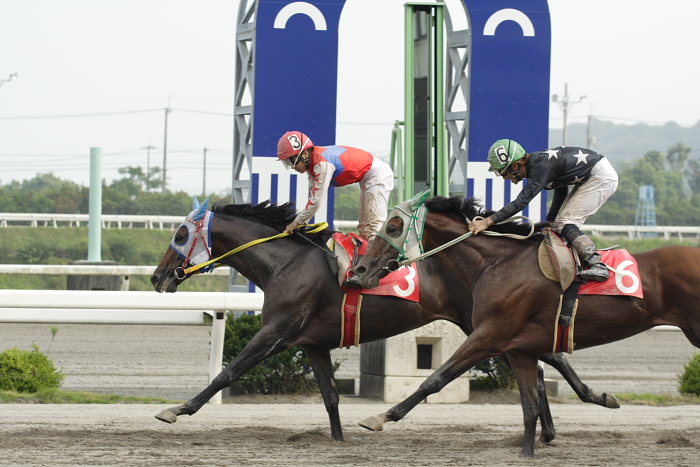 2007年8月5日(日) 高知競馬 9R ソイジョイ特別_a0077663_21292530.jpg