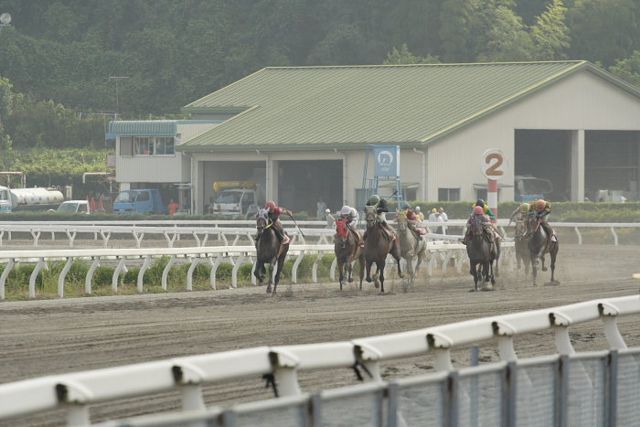 2007年8月5日（日） 高知競馬 9R ソイジョイ特別_a0077663_21325773.jpg