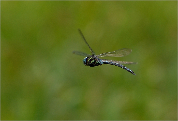 f0088971_2252334.jpg