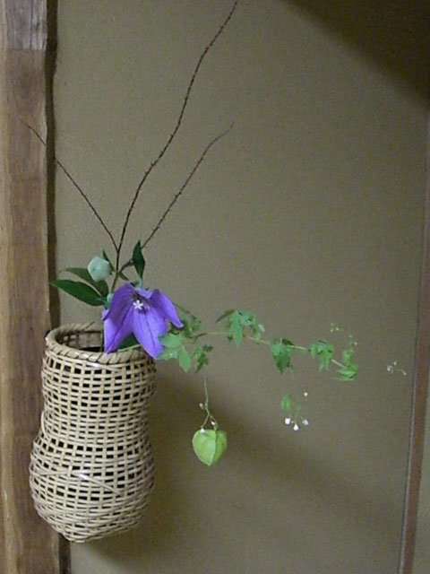 桔梗 風船蔓 水引 茶室の花 桔梗 風船蔓 水引 茶室の花