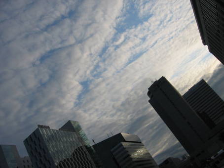 e0041688_128158.jpg
