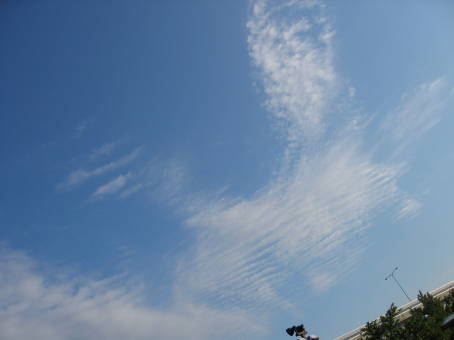 e0041688_1284878.jpg