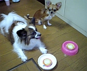 c0095091_1215463.jpg