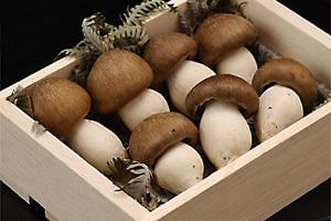 e0016791_17454036.jpg