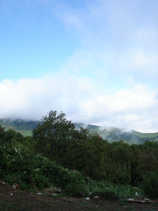 雨上がりの畑で_f0106597_19295480.jpg