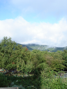 雨上がりの畑で_f0106597_1933914.jpg