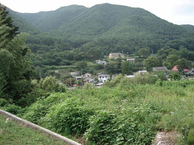 f0084806_8273612.jpg