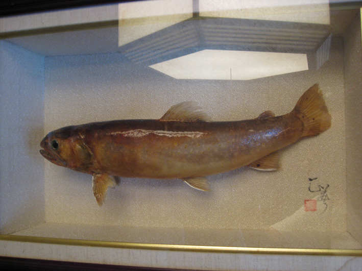 e0034013_175497.jpg