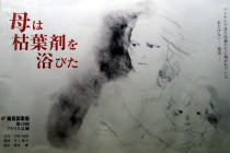 母は枯葉剤を浴びた~24時間テレビ出演ドクさん・いわさきちひろ_f0006713_0251038.jpg