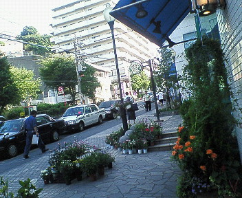 d0065116_19433449.jpg