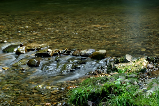 e0111217_055771.jpg