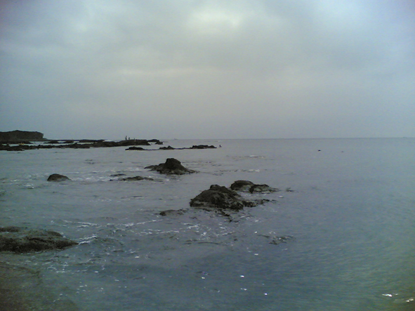 b0074921_21384.jpg