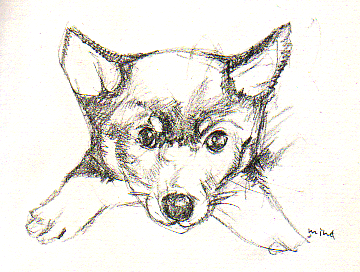 d0002224_2322921.gif