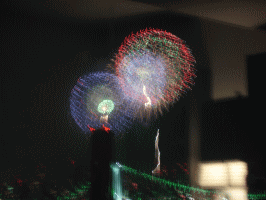 f0063944_13521011.gif