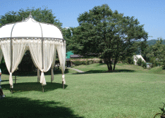 f0063944_1627467.gif