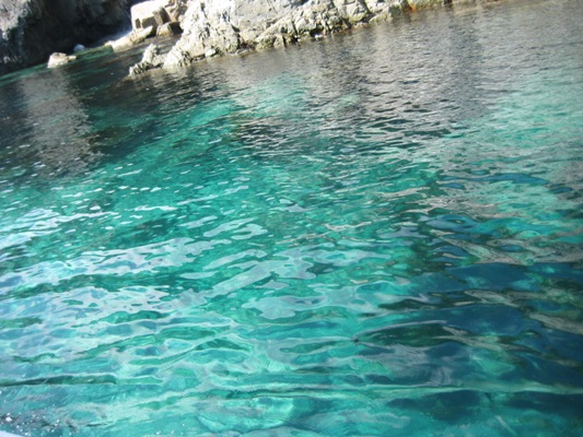 f0136850_11502650.jpg