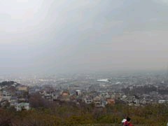 e0052353_4422855.jpg