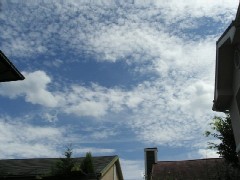 f0036962_69175.jpg