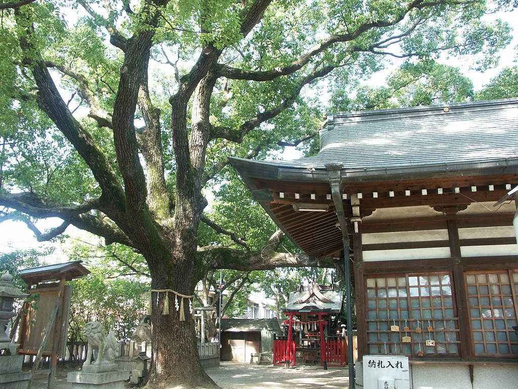 酷暑の長居公園界隈ウォーキングとビール工場見学_b0044663_12324465.jpg