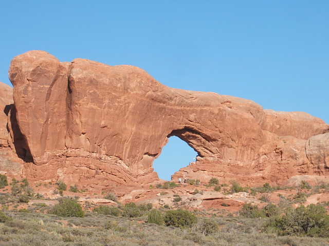 c0115366_331975.jpg