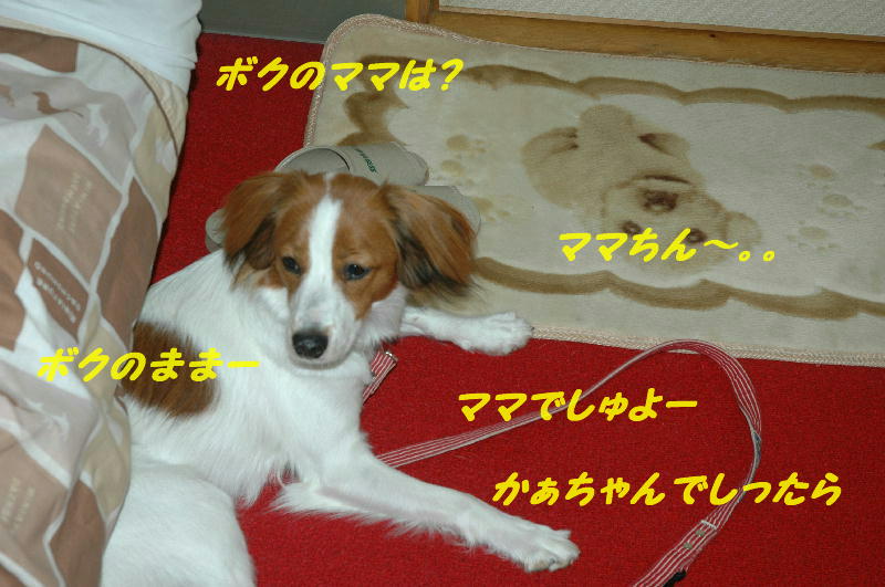 c0075585_04111.jpg