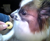 c0095091_22503930.jpg