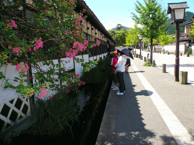 a0050593_9293890.gif