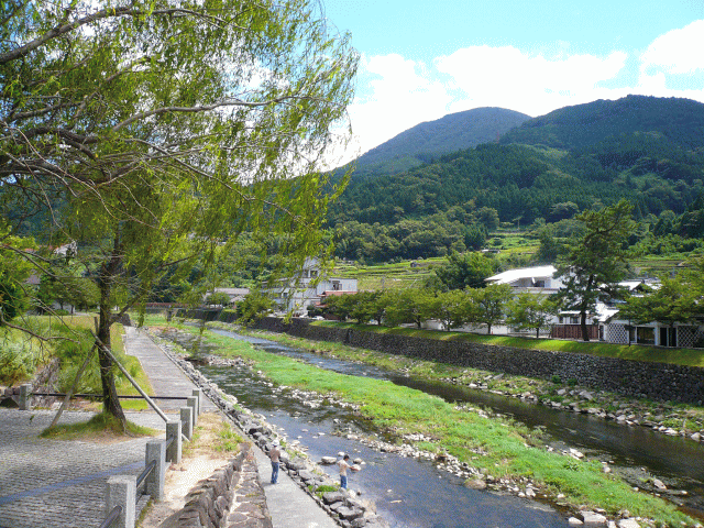 a0050593_9295321.gif