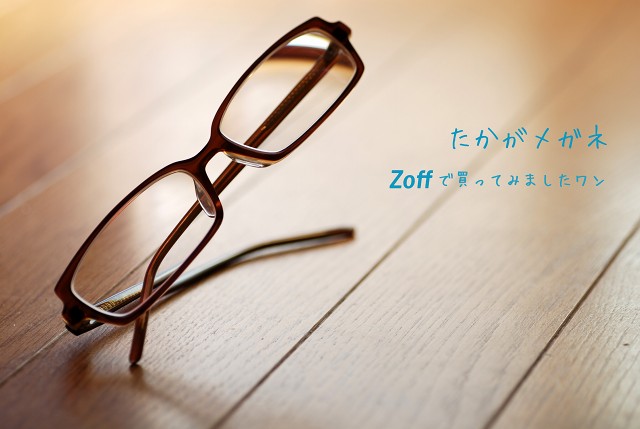 メガネを買う_a0062697_15595863.jpg